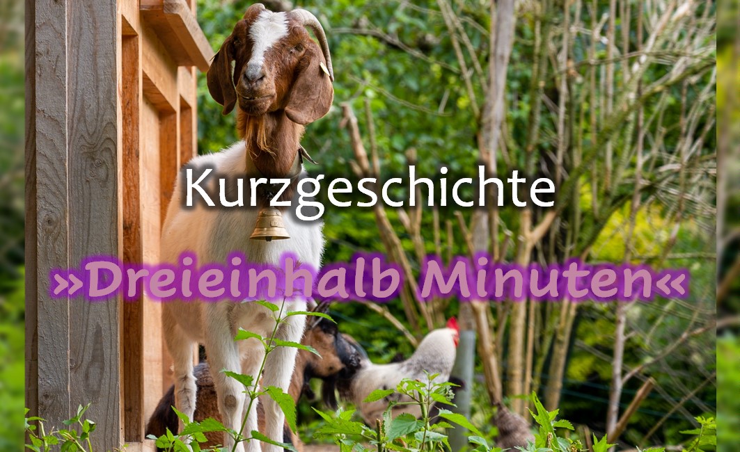 Dreieinhalb Minuten | Kurzgeschichte